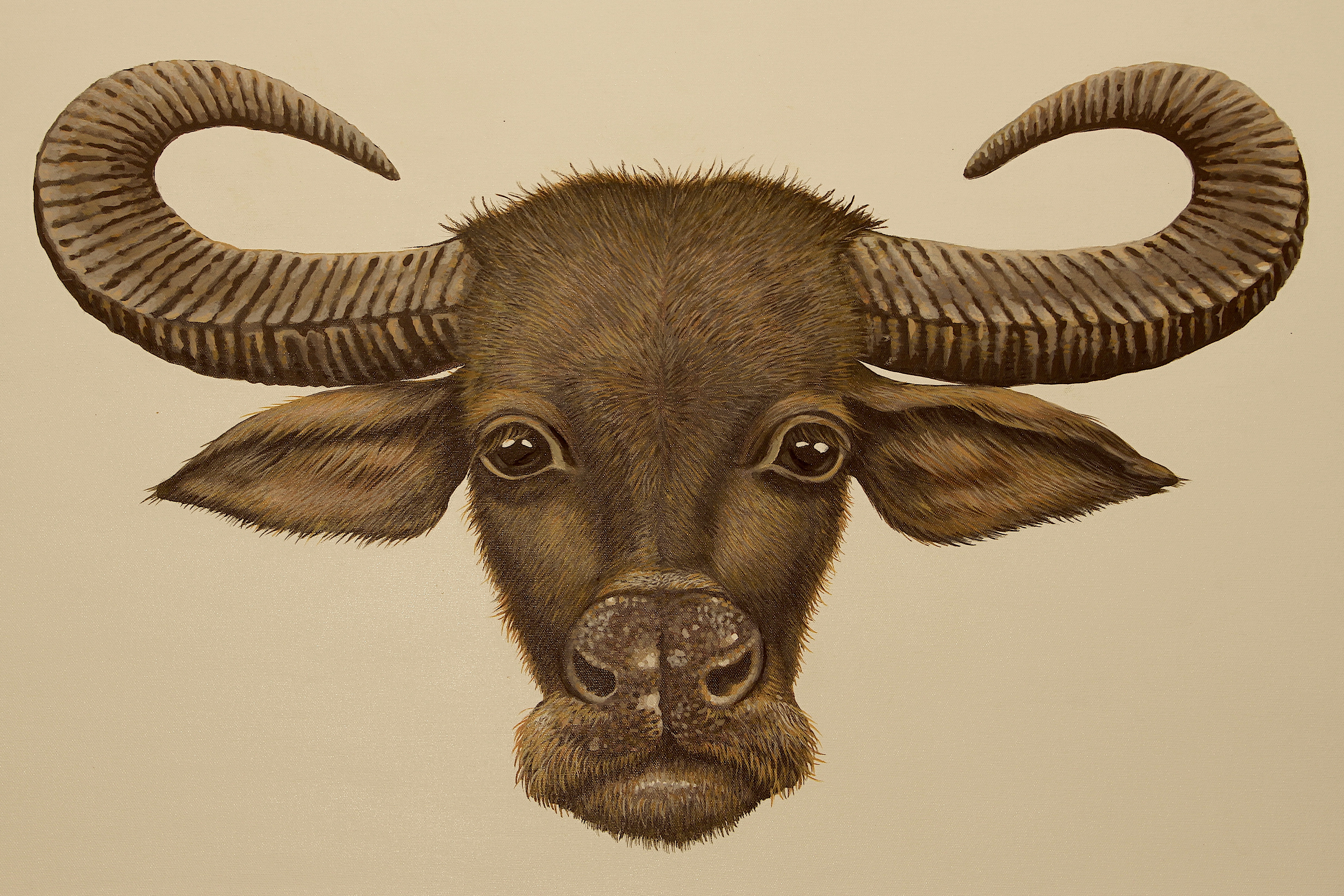 Peter Arnold - Animals